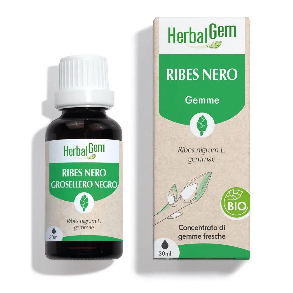 HerbalGem Macerato-Madre Ribes Nero Bio Integratore Gemmoterapia con Estratto di Gemme Fresche Per Articolazioni, Muscoli 30 ml