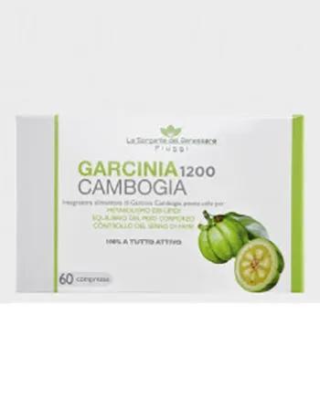 La sorgente del Benessere Garcinia Cambogia 1200 Integratore 60 Capsule