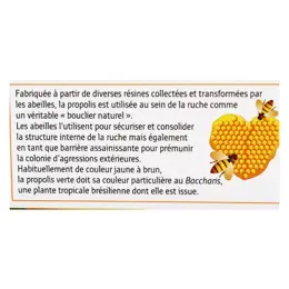 Forté Pharma Propolis 500 20 ampoules