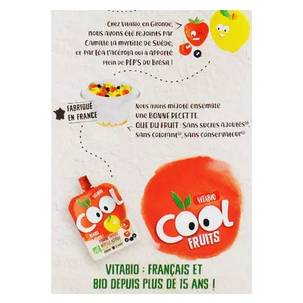 Vitabio Cool Fruits La Pat’ Patrouille Pomme Fraise Myrtille Bio 12 x 90g