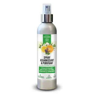 Dayang Spray Igienizzate & Purificante 200ml