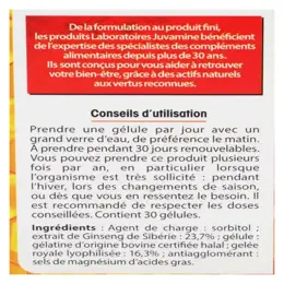 Juvamine Fortifiant Ginseng de Sibérie Gelée Royale 30 gélules