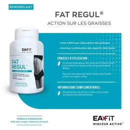 Eafit Fat Regul Minceur Active 90 comprimés