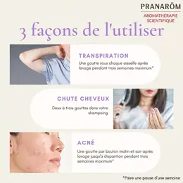 Pranarom Huile Essentielle Sauge Sclarée Somminté Fleurie 10ml