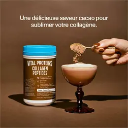 Vital Proteins Collagen Peptides saveur Cacao - Collagène Bovin - 297g