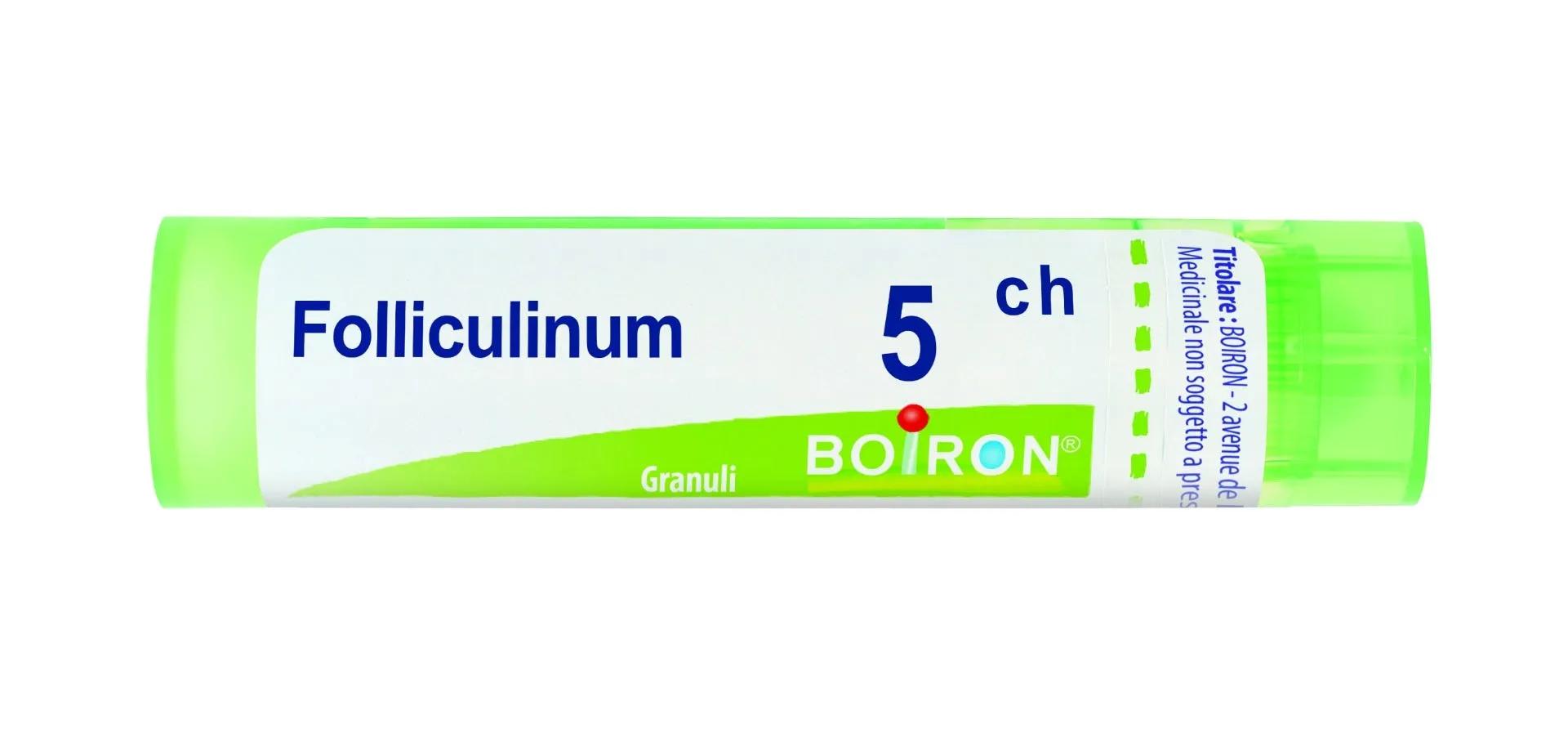 Boiron Folliculinum 5CH Granuli Tubo