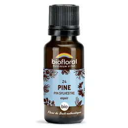 Biofloral 24 Pine Pin Sylvestre Granules Bio Fleur De Bach Granules 19,5 Gr