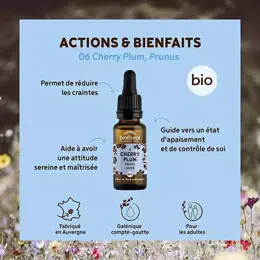 Biofloral Fleur De Bach 06 Cherry Plum Prunus Compte Gouttes Bio Demeter 20 ml