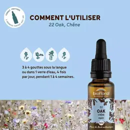 Biofloral Fleur De Bach 22 Oak Chene Compte Gouttes Bio Demeter 20 ml