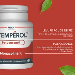 Monin Chanteaud Temperol 120 comprimés