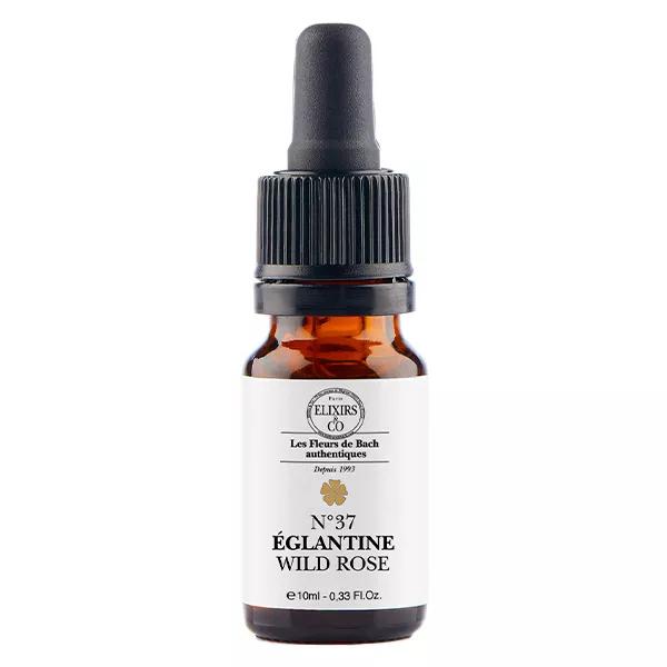 ELXIRS&CO - Unità di Rosa Canina - 10ML