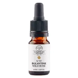 ELXIRS&CO - Unitaire EGLANTIER  - 10ML