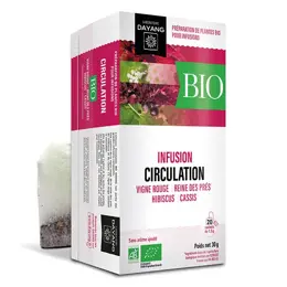 Dayang Infusion Bio Jambes Légères 20 sachets