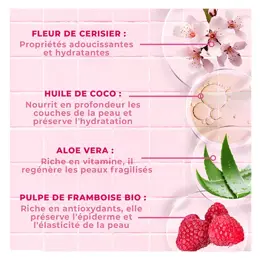 Energie Fruit Corps Mon Lait Sorbet Fleur de Cerisier & Pulpe de Framboise Bio 200ml