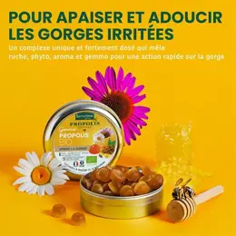 Santarome Bio Gommes Propolis Bio Apaise la gorge 45 g