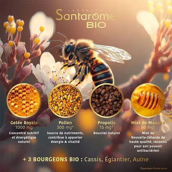 Santarome Bio - Gelée Royale Pollen Propolis Miel de Manuka Bio - 20 ampoules
