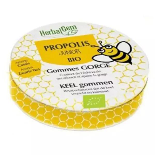 Herbalgem Propolis Gommes Bio arôme cassis Junior 45g