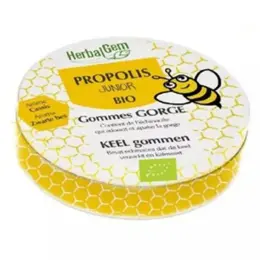 Herbalgem Propolis Gommes Bio 45g