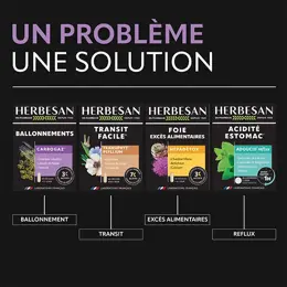 Herbesan Carbogaz 45 gélules
