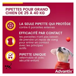 Advantix Chien Solution Antiparasitaire Grande Race 25 à 40kg 6 pipettes