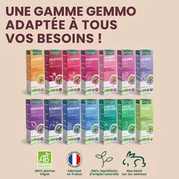 Santarome Bio -  Bourgeon Framboisier Bio - Gémmothérapie - Flacon de 30ml