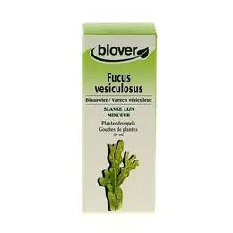 Biover Varech Vésiculeux - Fucus Vesiculosus Teinture 50ml