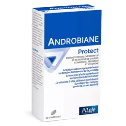 Pileje Androbiane Protect 60 comprimés