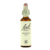 Bach Gentiane Fleurs 20ml