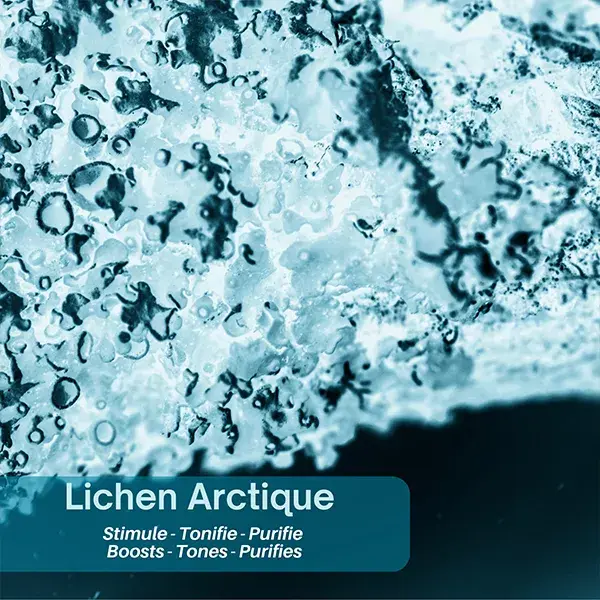 Polaar Men Gel Douche Scandinave 3 en 1 au Lichen Arctique 200ml