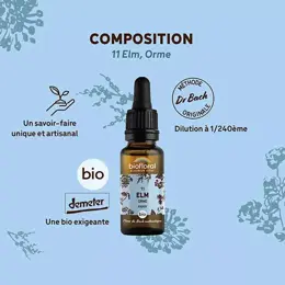 Biofloral Fleur De Bach 11 Elm Orme Compte Gouttes Bio Demeter 20 ml