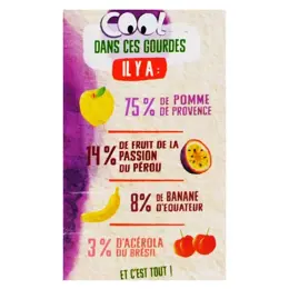 Vitabio Cool Fruits Pomme Passion Acérola 4 x 90g