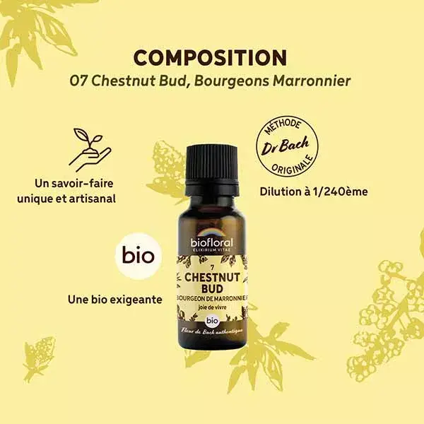 Biofloral 07 Chestnut Bud Bourgeons Marronnier Bio Fleur De Bach 19,5 Gr