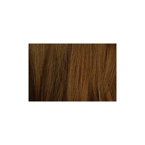 Logona Coloration-soin brun ambré 100g