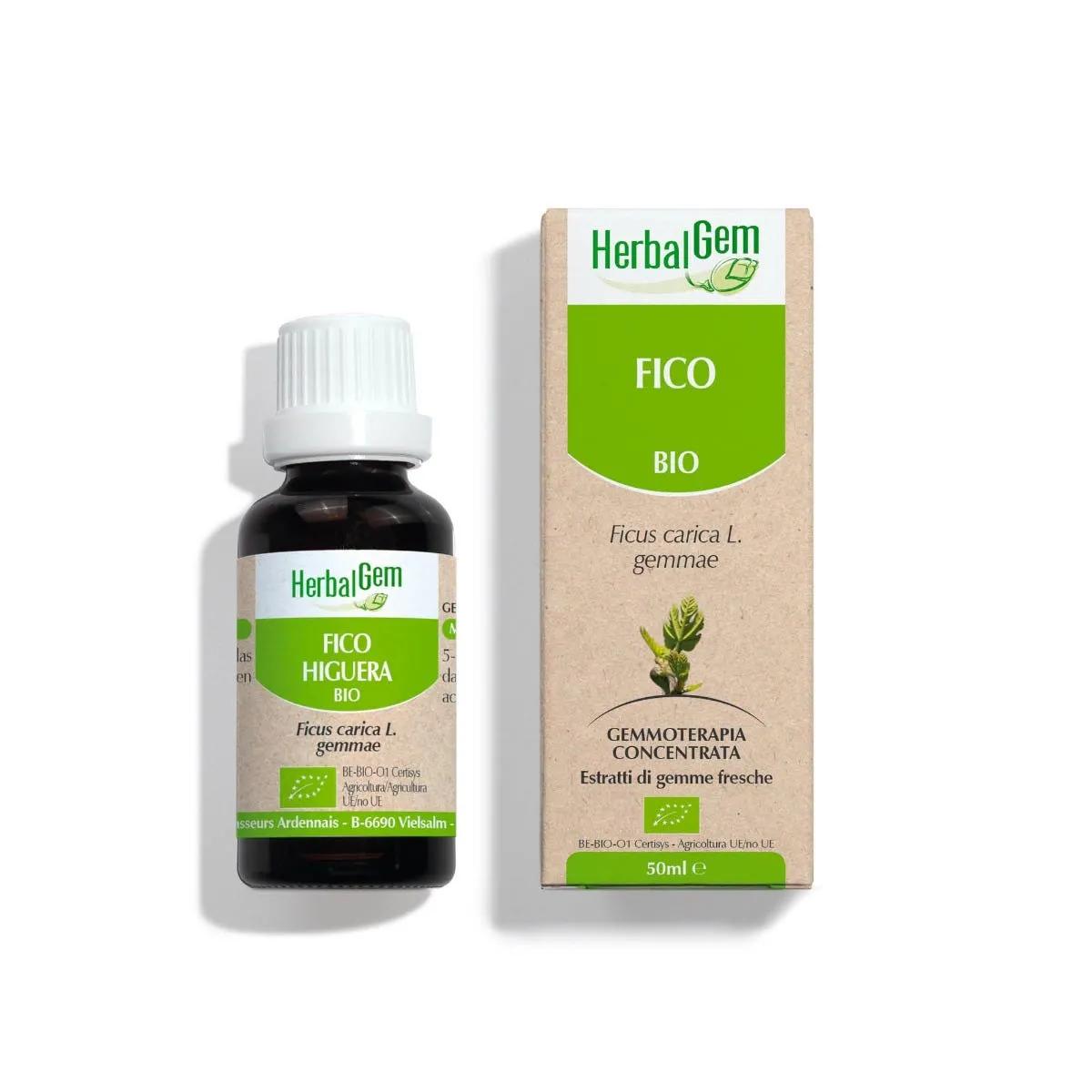 HerbalGem Fico Gemme Integratore Concentrato di Gemme Fresche 30 ml