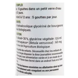 Oemine Macérât Glycériné Bouleau Bio 30ml