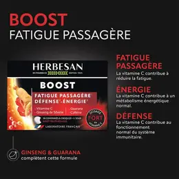 Herbesan Fatigue, Défense, Energie Complexe Boost - Cure de 30 jours