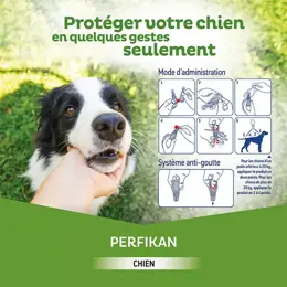 Clement Thekan Perfikan Anti-Puces Anti-Tiques Chien 4-10kg 4 pipettes