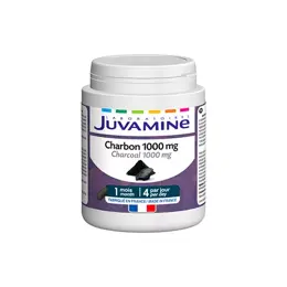 JUVAMINE CHARBON 1000 mg Format 1 mois 120 gélules