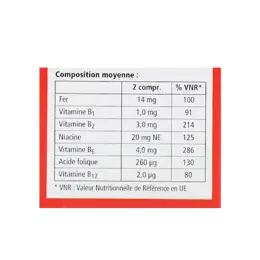 Salus Floradix Fer + Plantes 84 comprimés