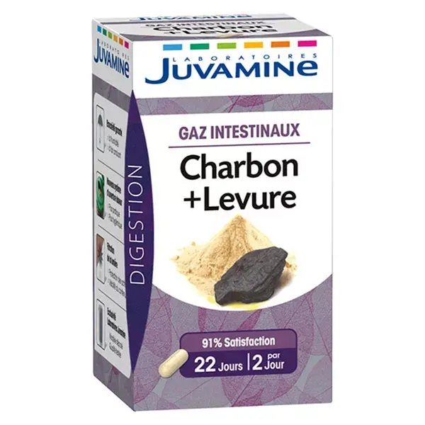 Juvamine Gaz Intestinaux Charbon Levure 45 gélules