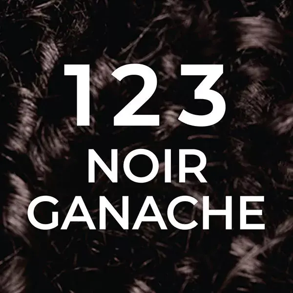 L'Oréal Paris Casting Natural Gloss Hair Color 123 Black Ganache