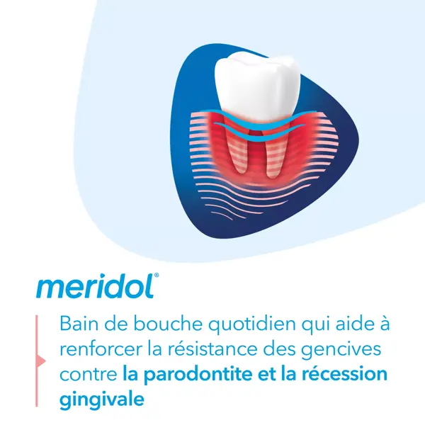 Méridol Bain de Bouche Parodont Expert 400ml