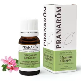 Pranarom Huile Essentielle Géranium d'Egypte 10ml