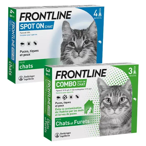 Frontline Combo Chats et Furets 3 pipettes