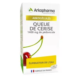 Arkopharma Arkogélules Queue de Cerise 45 gélules