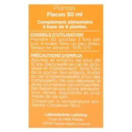 Lehning Hiver Echinacée N°40 Solution Buvable 30ml