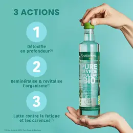 Santarome Bio - Pure Sève de Bouleau - Détoxifie, Reminéralise - Lot de 3x500ml