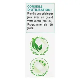 Forté Pharma Fortébiotic+ ATB 10 gélules