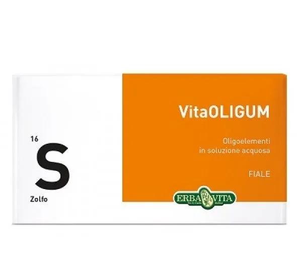 Erba Vita VitaOLIGUM D-Z Oligoelementi 20 Fiale