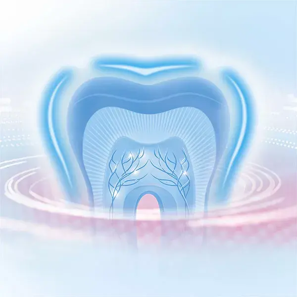Oral-B Brosse à Dents Électrique Professional Soin Gencives 2